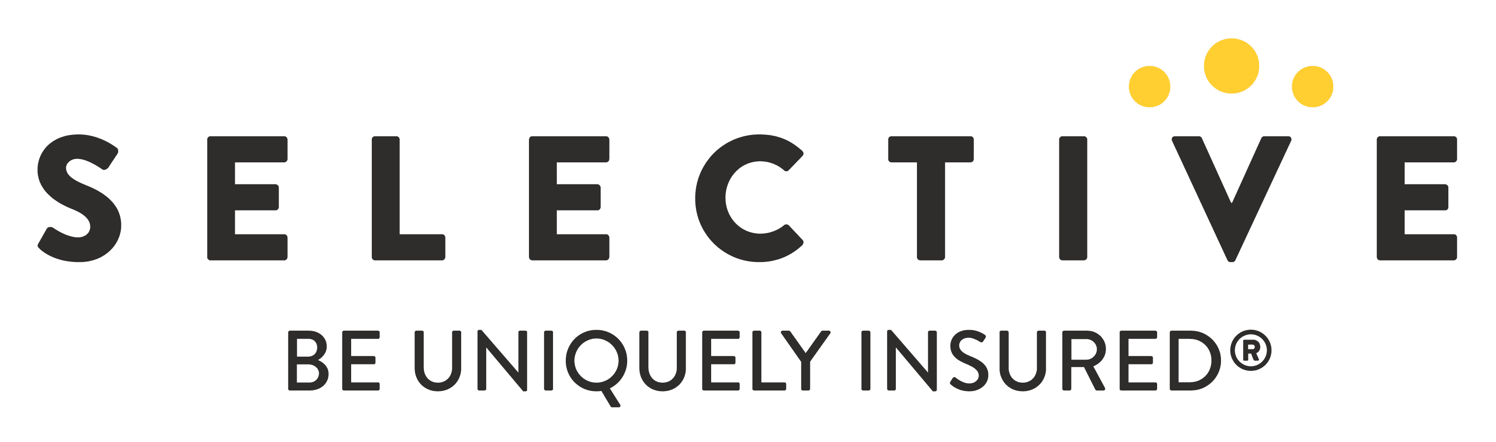 Selective Insurance Company Logo